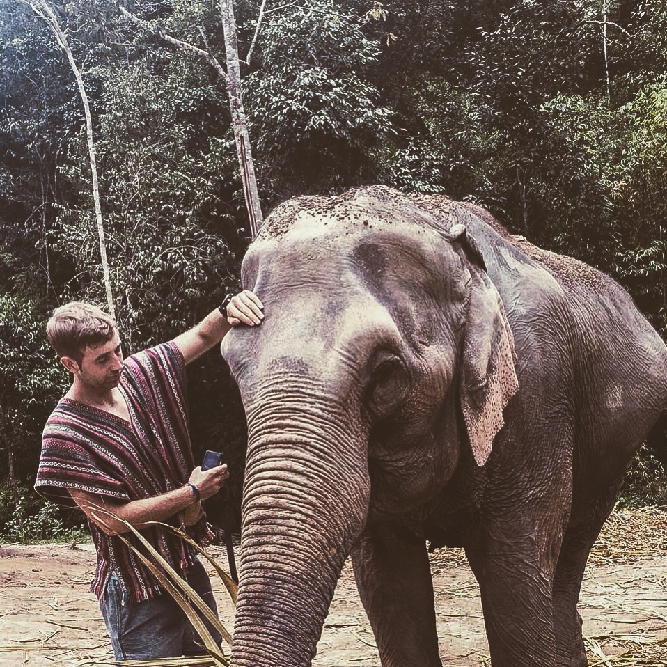 elephant sanctuary phuket, Phuket elephant sanctuary entrance fee