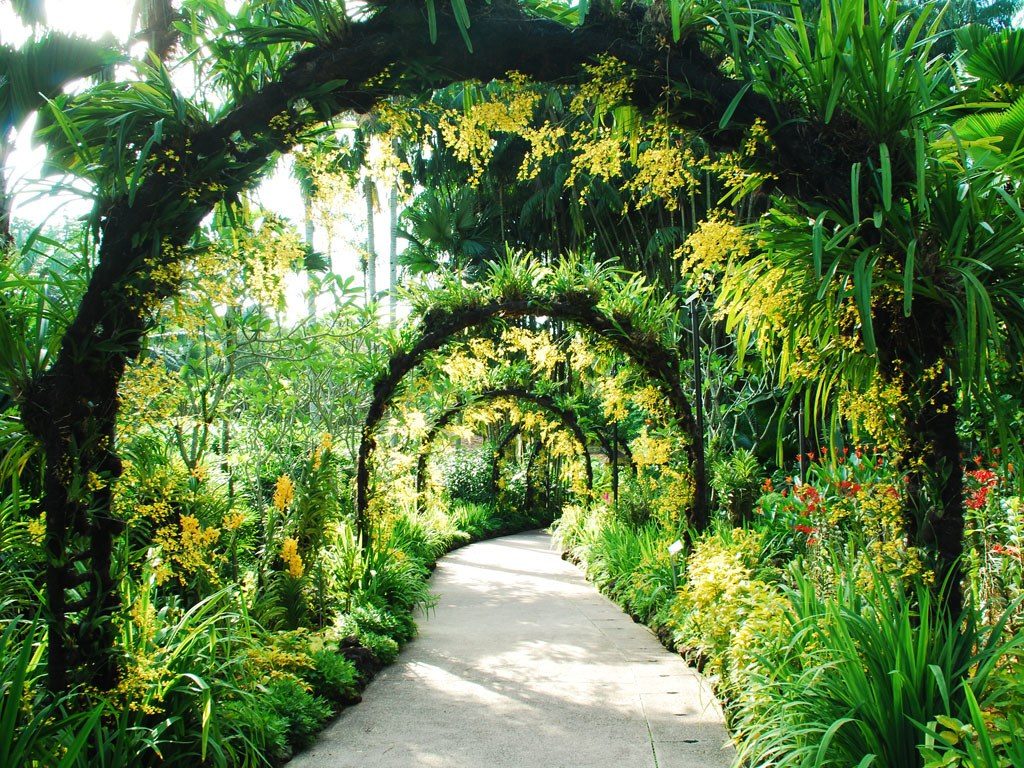 botanic gardens singapore, top things to do in Singapore, singapore skyline, singapore flyer, singapore city, weather in singapore, singapore restaurant, singapore, where is singapore, things to do in singapore, singapore hotels, singapore hotel
