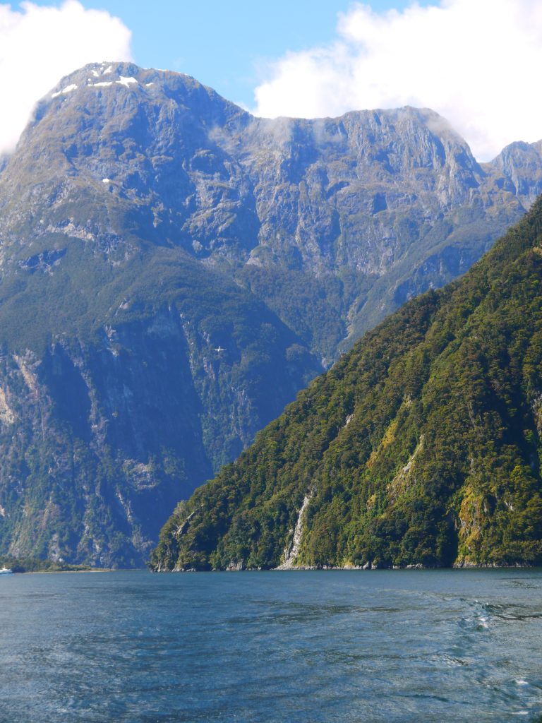 Milford sound cruise experience