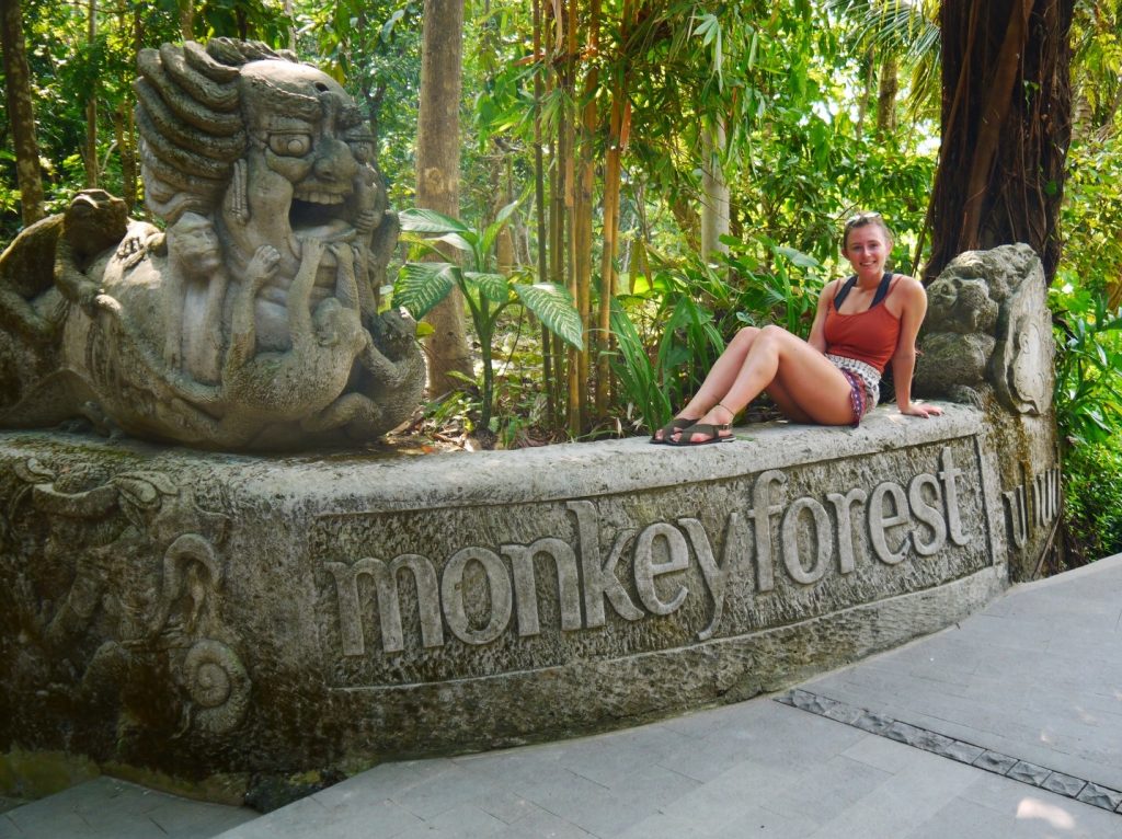 monkey forest bali, ubud bali monkey forest, monkey forest bali cost, ubud monkey forest bali, sacred monkey forest bali, bali ubud monkey forest, monkey forest bali ubud, bali monkey forest ubud, long-tail Balinese monkeys