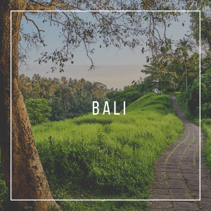 Bali travel blog