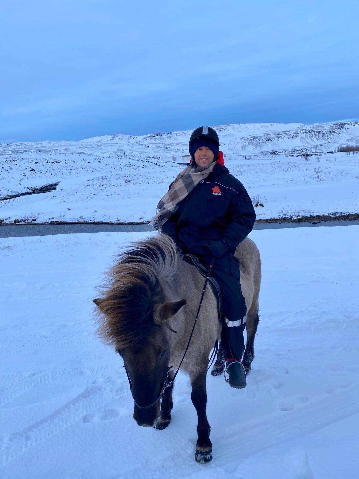 viking horses iceland