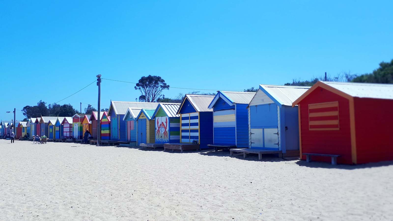 brighton beach, brighton beach melbourne, brighton beach boxes, brighton bathing boxes, beaches in melbourne, brighton beach huts