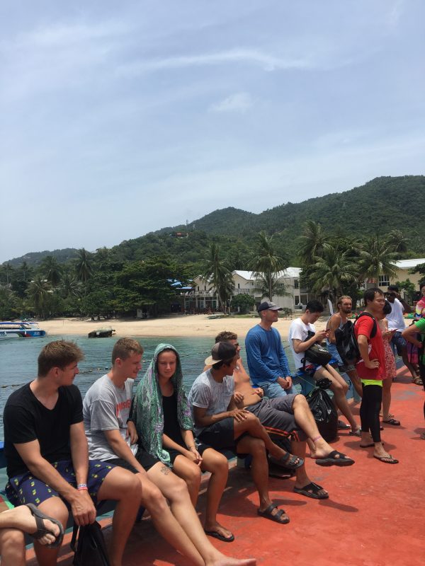 Best Koh Tao PADI Diving Schools, Courses and Dive Sites In 2022
