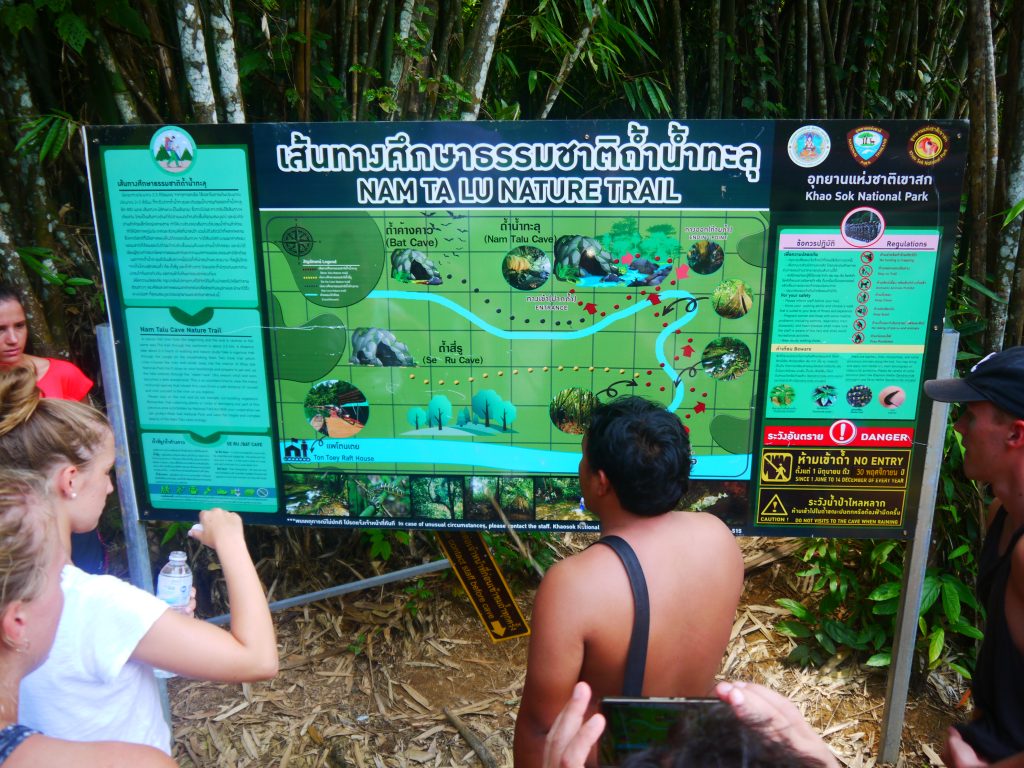 Khao Sok national park jungle trek