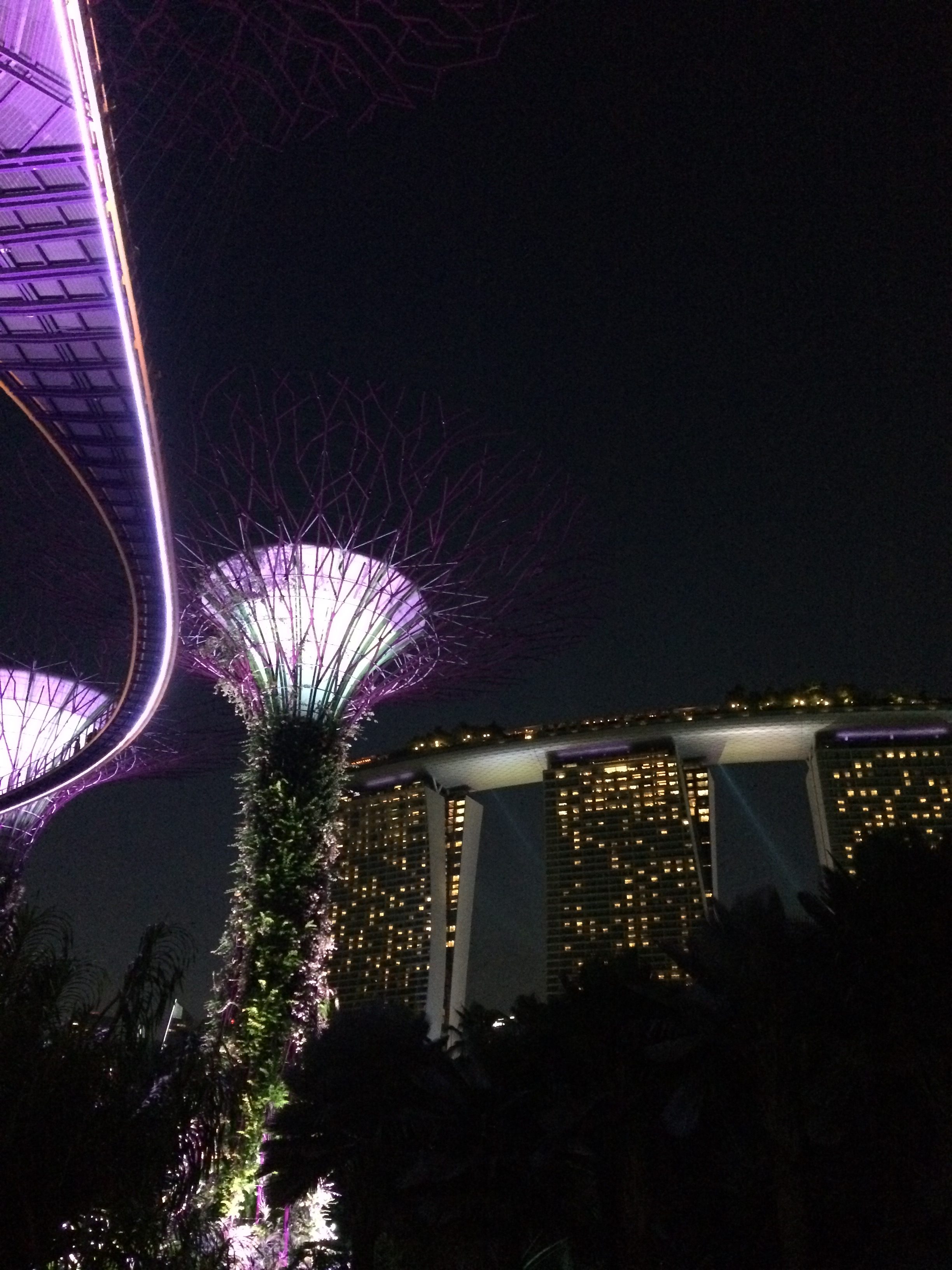 gardens by the bay, Singapore 4 day 3 nights itinerary, things to do in singapore, universal studios singapore, marina bay sands singapore, amazon singapore