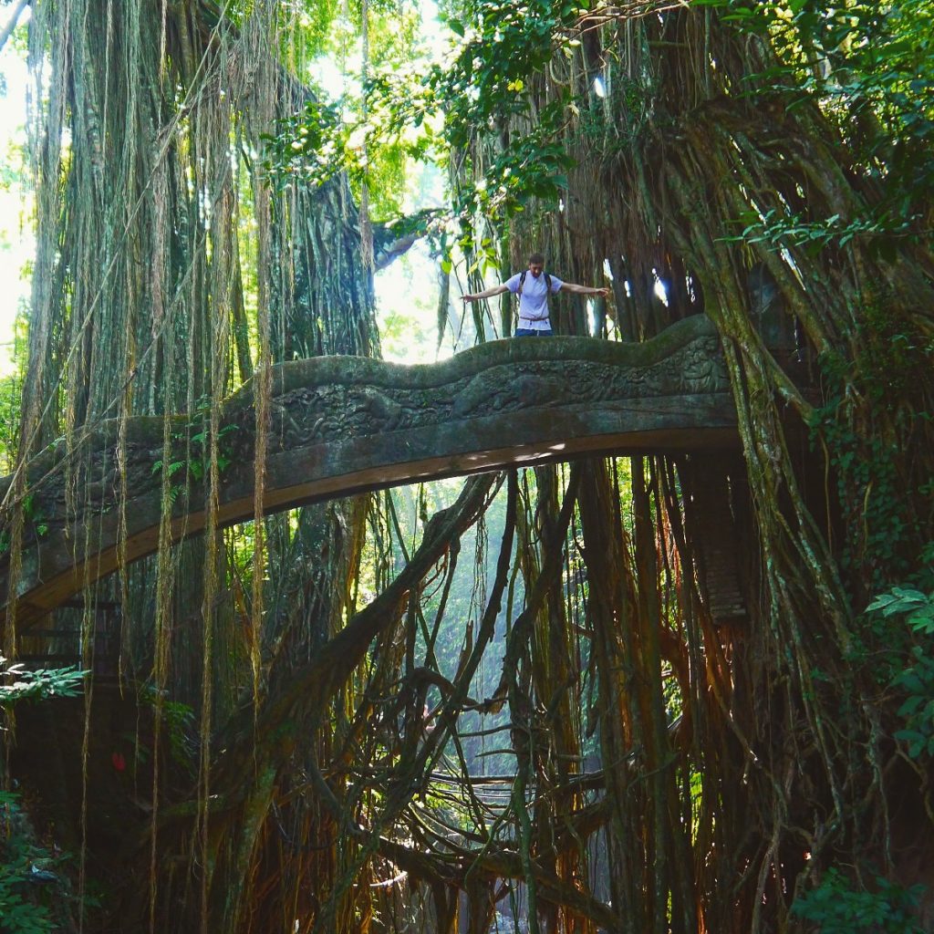 sacred monkey forest ubud bali