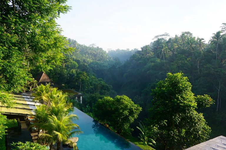 JUNGLE FISH UBUD BALI; VISITING GUIDE HOURS AND COST!