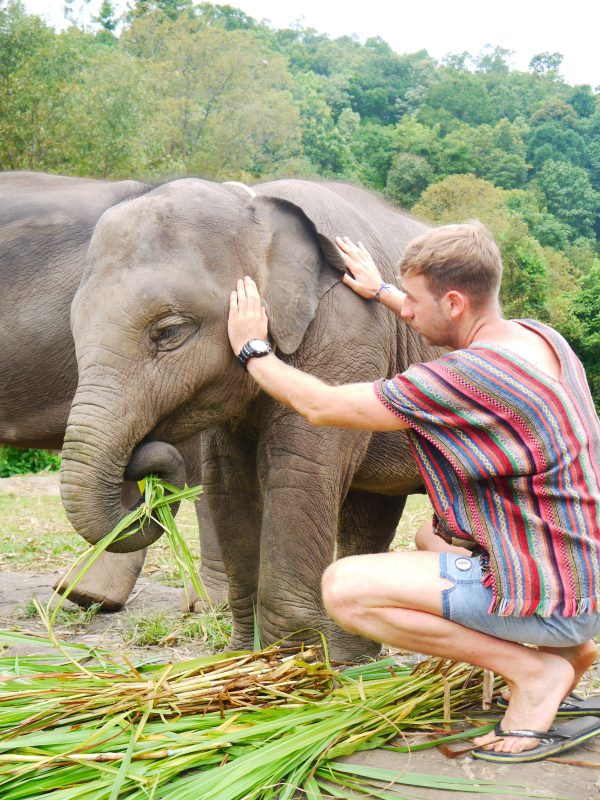 [UPDATED] ELEPHANT JUNGLE SANCTUARY PHUKET