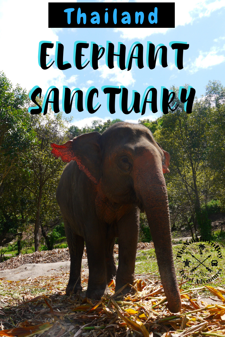 UPDATED] ELEPHANT JUNGLE SANCTUARY PHUKET