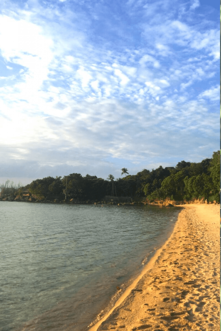 SURAT THANI TO KOH PHANGAN FERRY Thenorthernboy SURAT THANI TO KOH PHANGAN FERRY Thenorthernboy