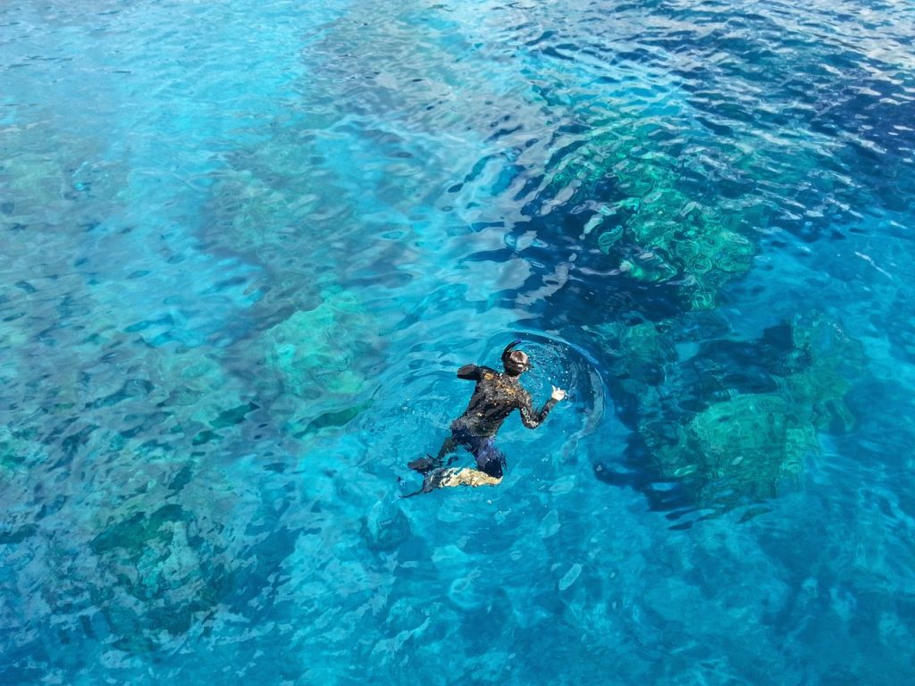 diving in phi phi