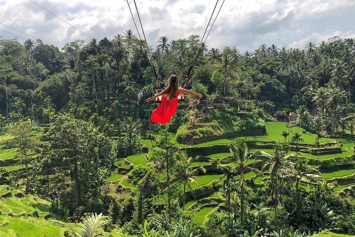 Tegalalang Rice Terrace Bali Swing