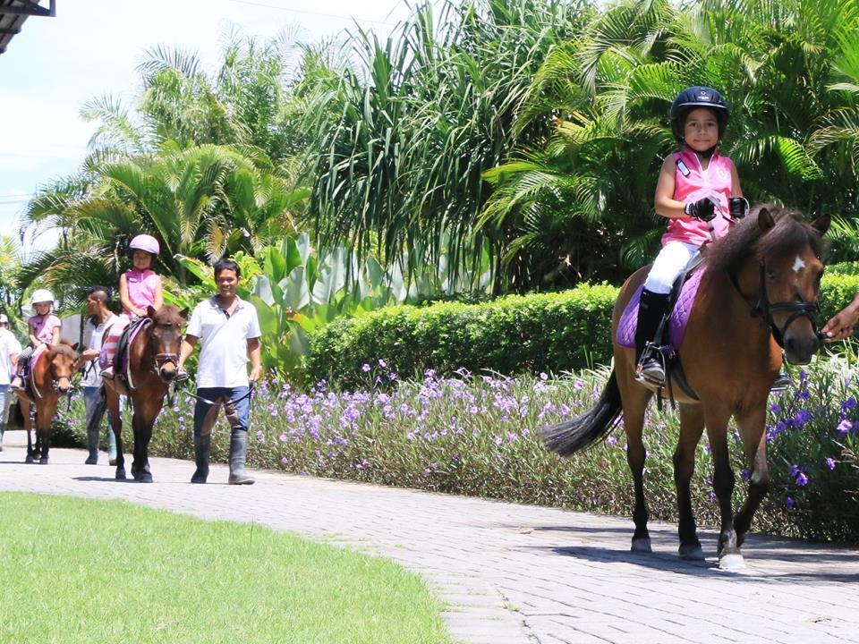 Bali Equestrian Center