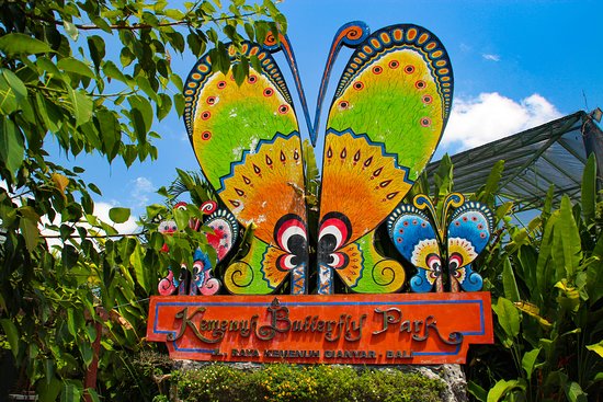 Kemenuh Butterfly Park