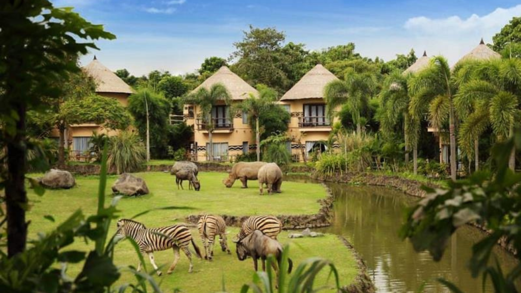 Guide to Bali Zoo's Exotic Adventures